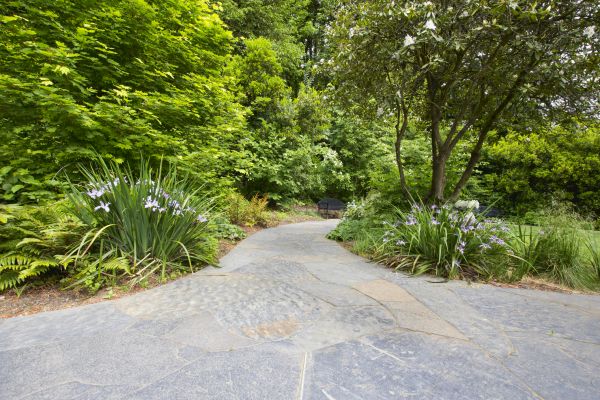 Stone Hardscape Service in Anacortes