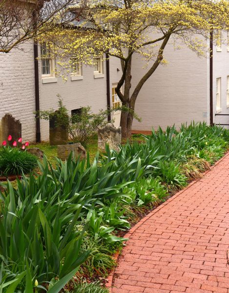 Brick Flatwork Repair in Anacortes